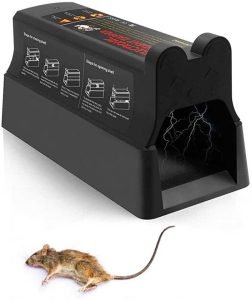 أفضل الطرق لمكافحة الفئران
