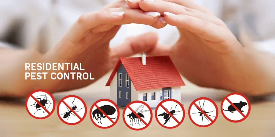 مكافحة الحشرات في المنزل