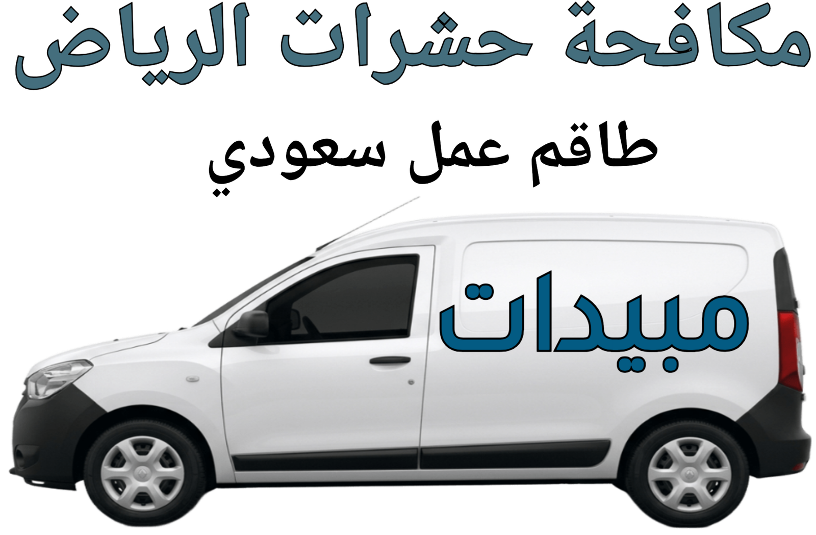 شركة مبيدات لمكافحة الحشرات بالرياض